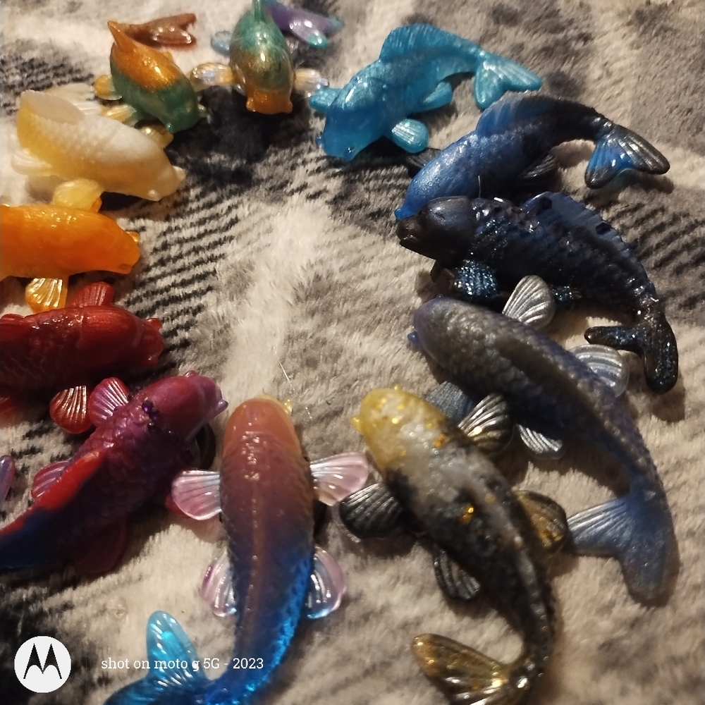 Koi Fish- Heaven